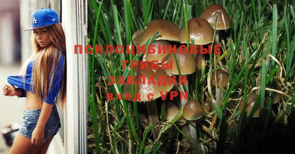 гашик Абдулино