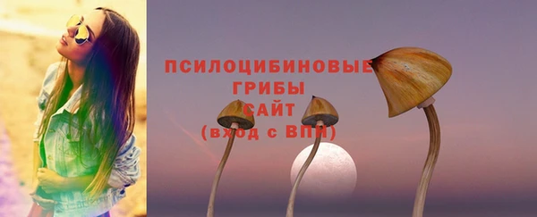 2c-b Алексин