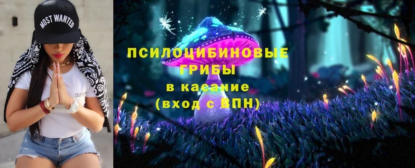 индика Алексеевка