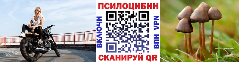 Псилоцибиновые грибы мицелий купить наркоту mega ссылки Фурманов